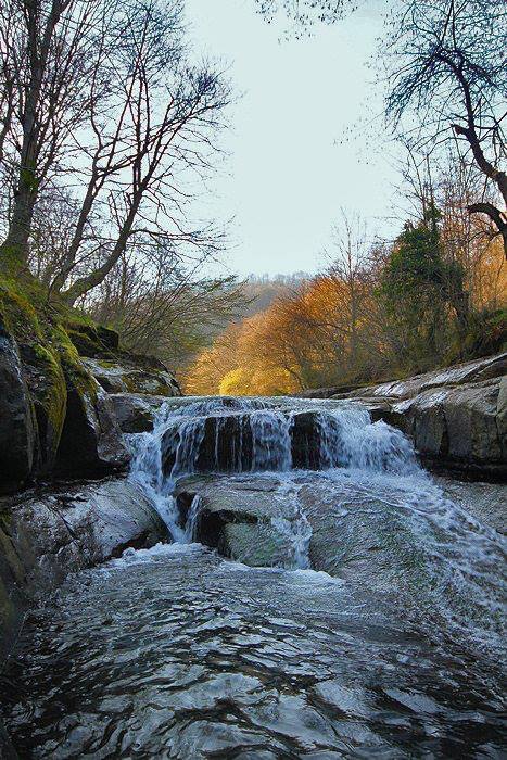 Çarşamba Kabaceviz Köyü Resimleri 1