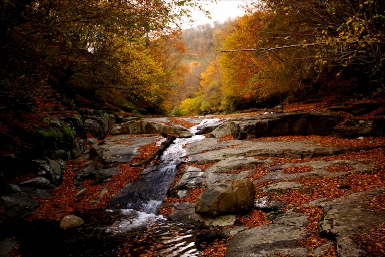 Çarşamba Kabaceviz Köyü Resimleri 3