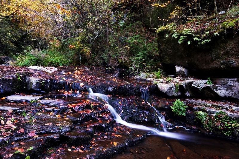 Çarşamba Kabaceviz Köyü Resimleri 4
