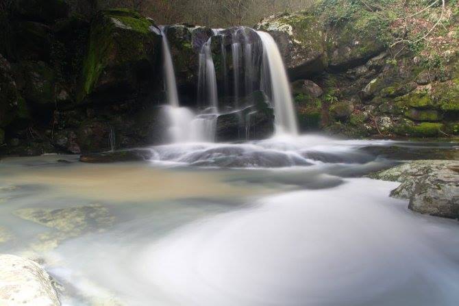 Çarşamba Kabaceviz Köyü Resimleri 6