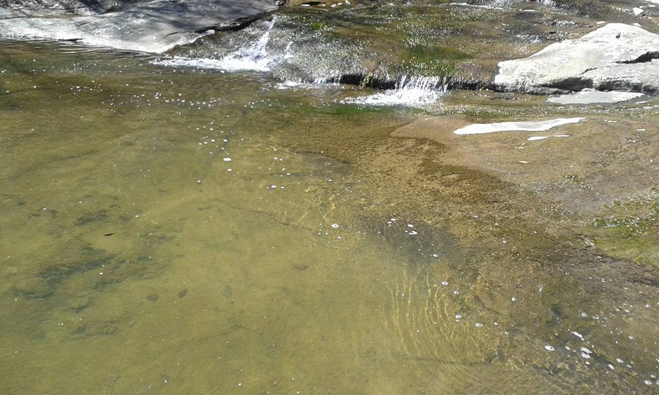 Çarşamba Kabaceviz Köyü Resimleri 8