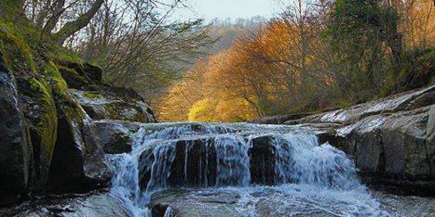Çarşamba Kabaceviz Köyü Resimleri