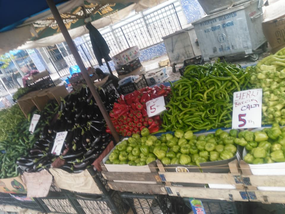 Çarşamba Karaağaç Köyü Resimleri 10