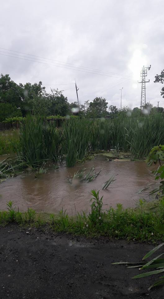 Çarşamba Karaağaç Köyü Resimleri 2