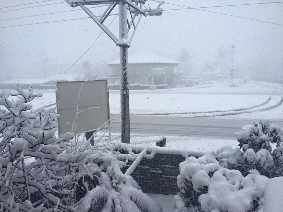 Çarşamba Karaağaç Köyü Resimleri 8