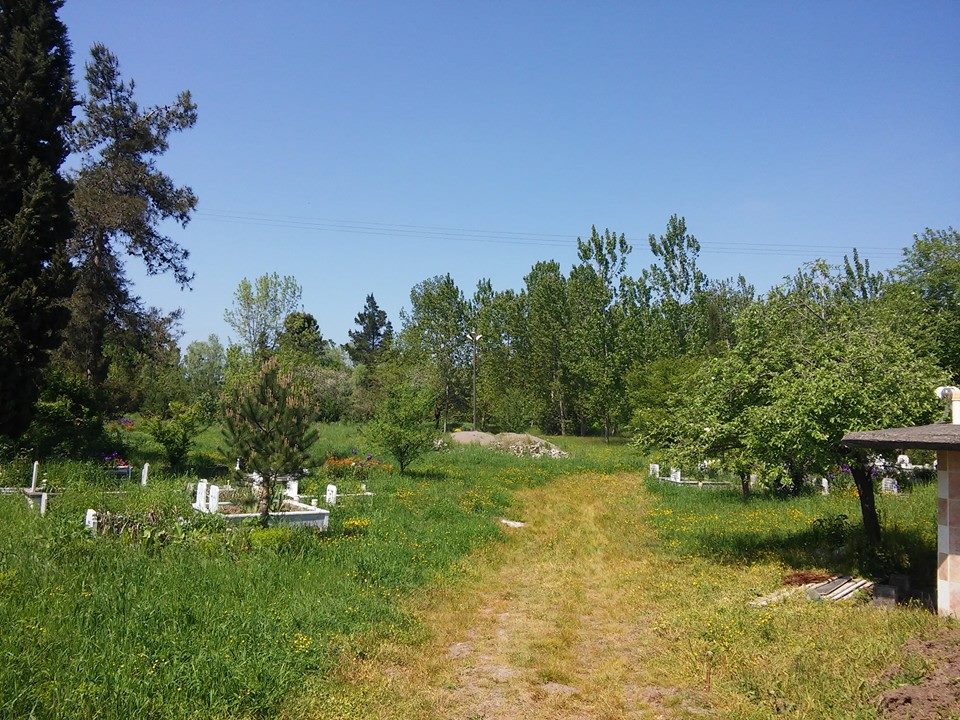 Çarşamba Karabahçe Köyü Resimleri 12