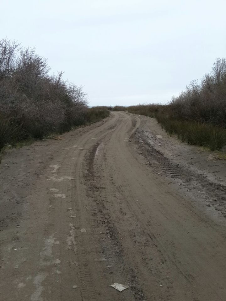 Çarşamba Karabahçe Köyü Resimleri 13