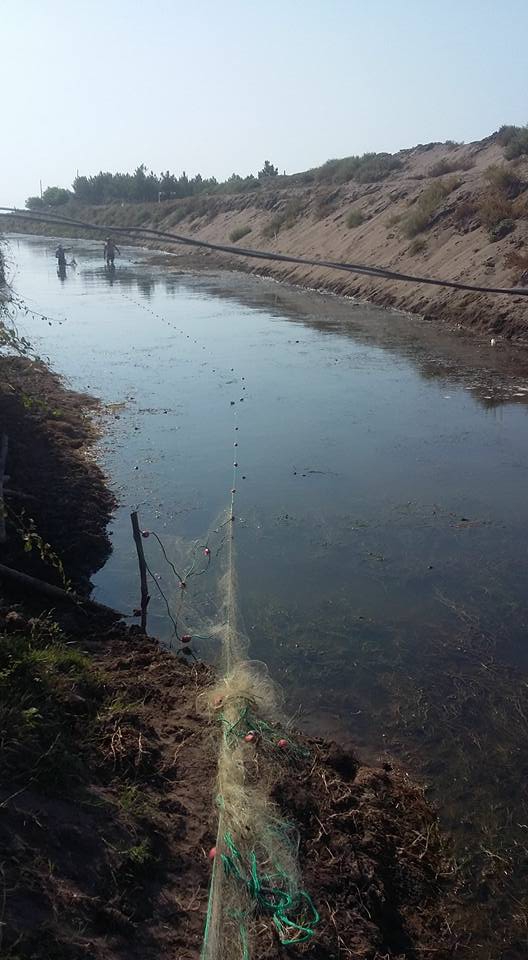 Çarşamba Karacalı Köyü Resimleri 9