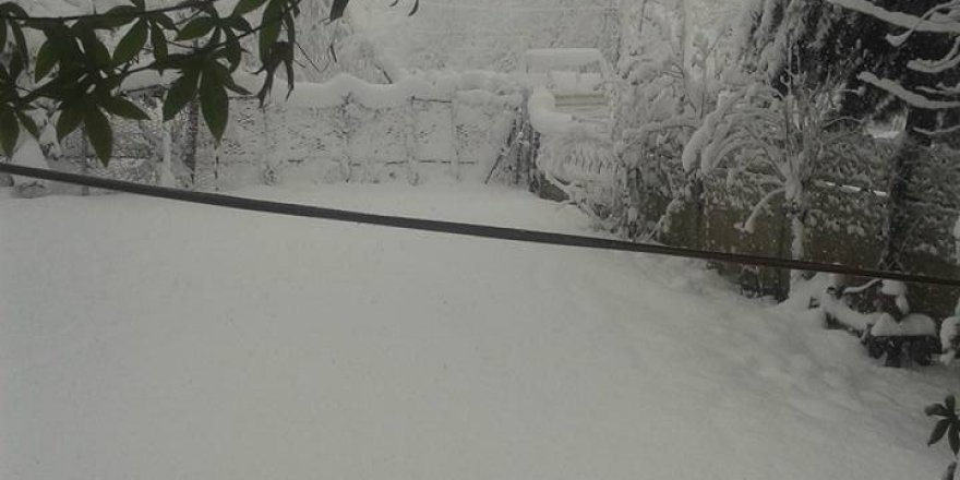 Çarşamba Karacalı Köyü Resimleri