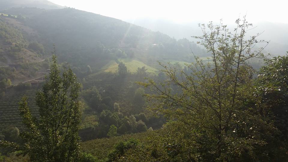 Çarşamba Karakaya Köyü Resimleri 5