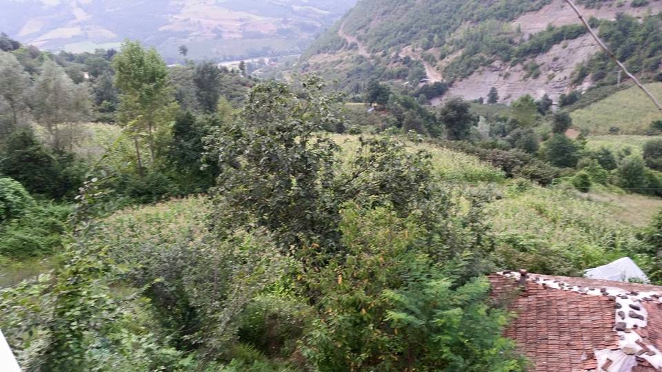 Çarşamba Karakaya Köyü Resimleri 9