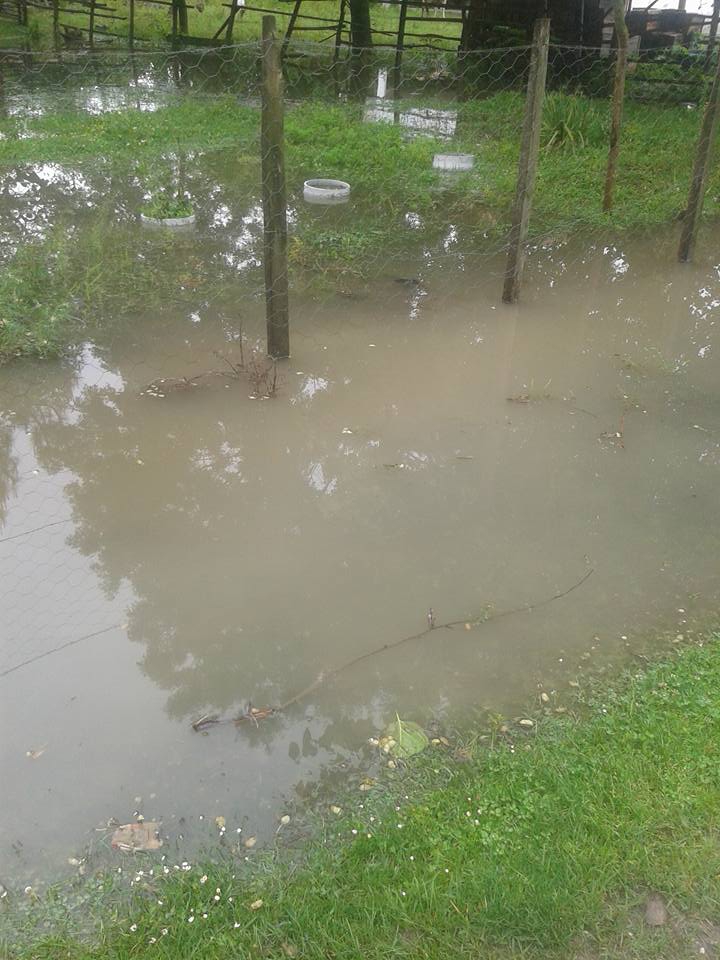 Çarşamba Karakulak Köyü Resimleri 1