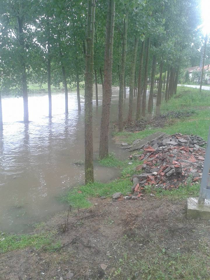 Çarşamba Karakulak Köyü Resimleri 4