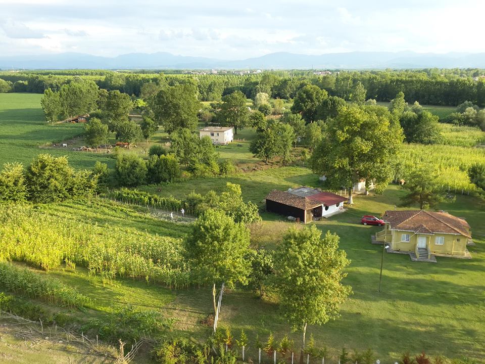 Çarşamba Karakulak Köyü Resimleri 5