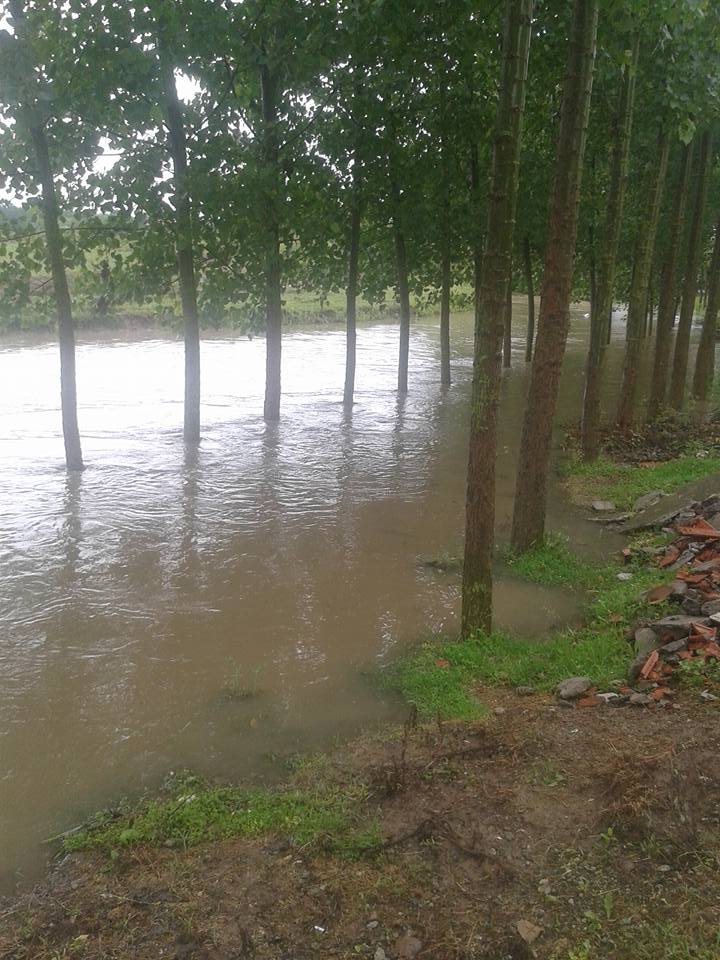 Çarşamba Karakulak Köyü Resimleri 8