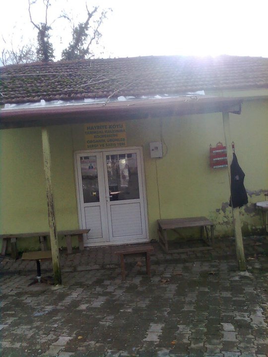 Armutlu Hayriye Köyü Resimleri 18