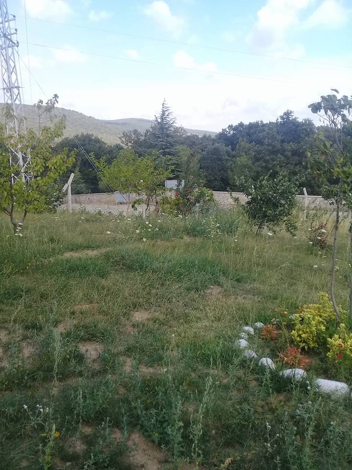 Armutlu Hayriye Köyü Resimleri 19