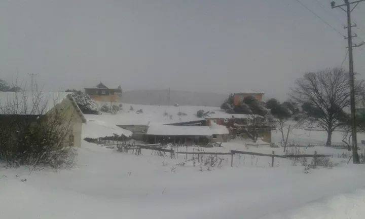 Armutlu Hayriye Köyü Resimleri 2