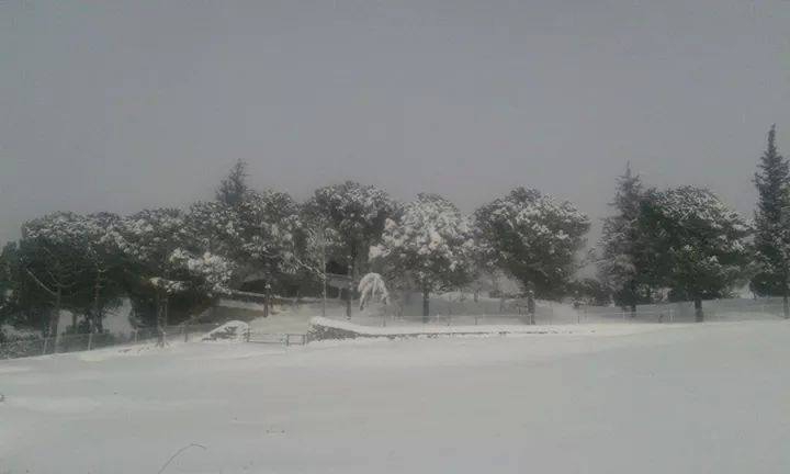 Armutlu Hayriye Köyü Resimleri 4