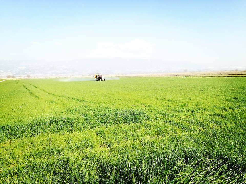 Sarayköy Adaköy Köyü Resimleri 1