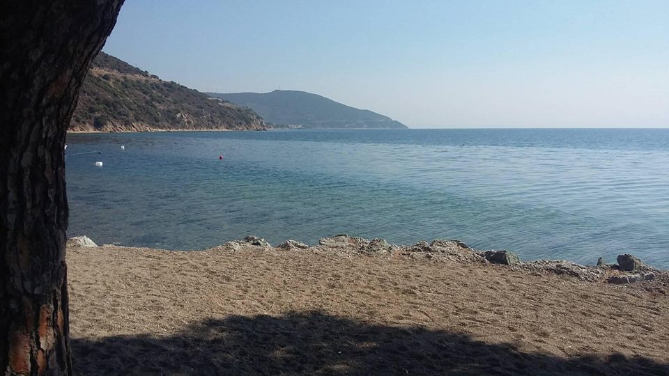 Armutlu Kapaklı Köyü Resimleri 8