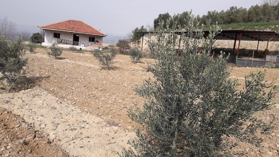 Sarayköy Tepeköy Köyü Resimleri 3