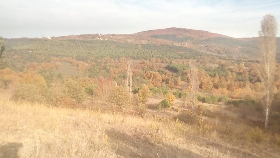 Armutlu Selimiye Köyü Resimleri 1