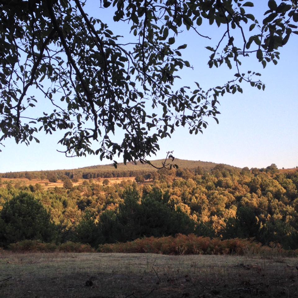 Armutlu Selimiye Köyü Resimleri 12
