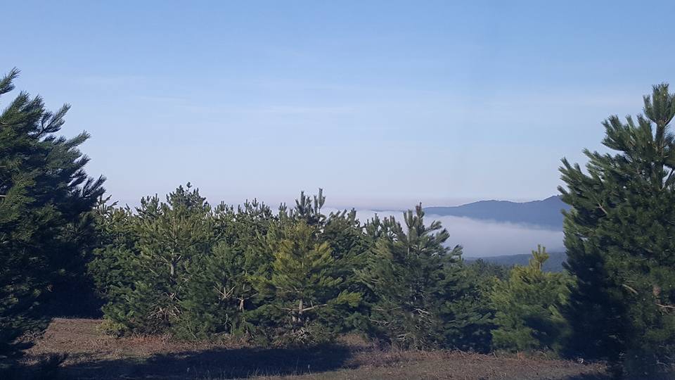 Armutlu Selimiye Köyü Resimleri 2