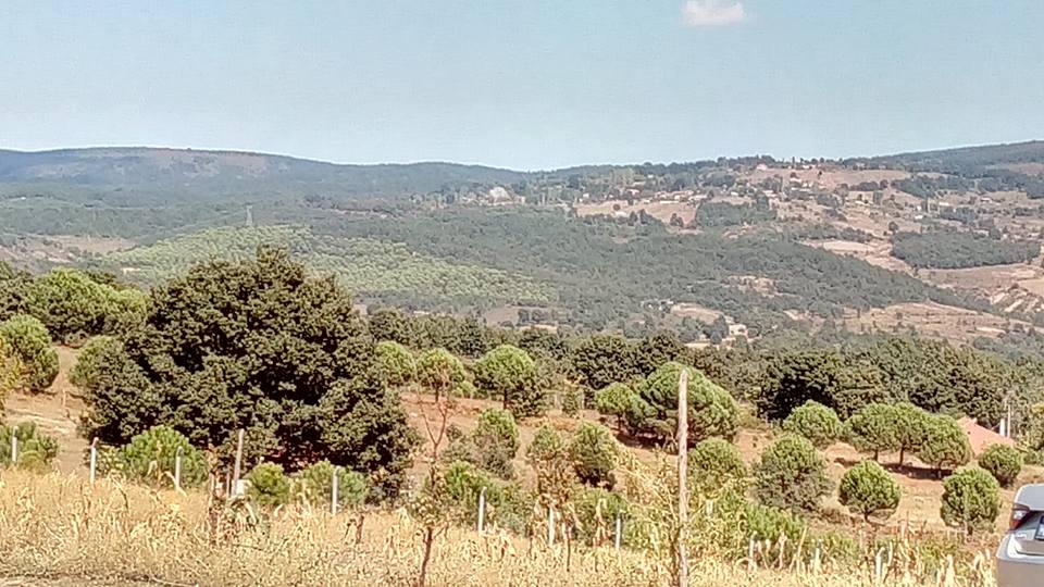 Armutlu Selimiye Köyü Resimleri 6