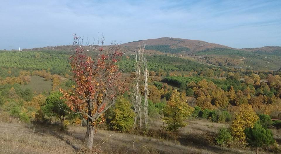 Armutlu Selimiye Köyü Resimleri 8