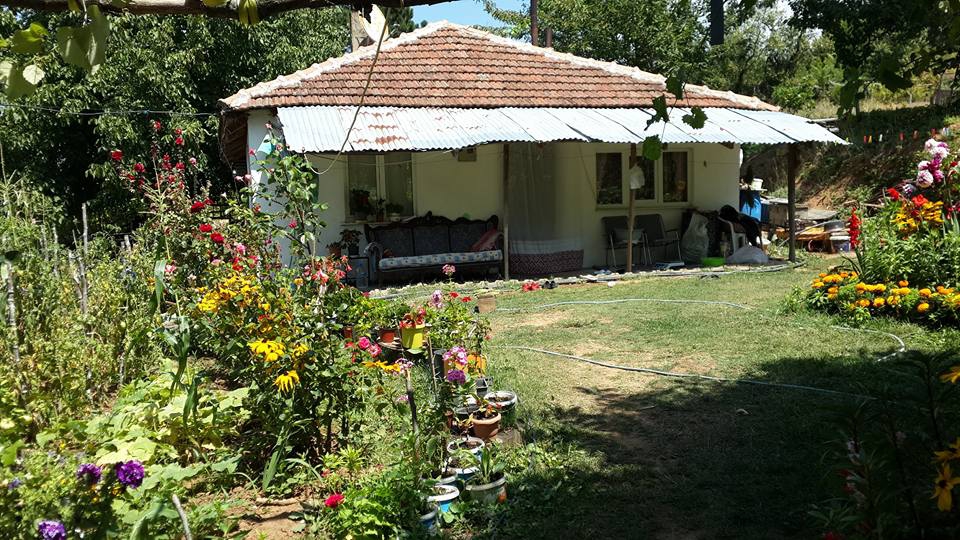 Armutlu Selimiye Köyü Resimleri 9