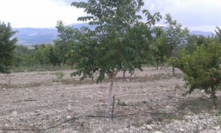 Serinhisar Ayaz Köyü Resimleri 8