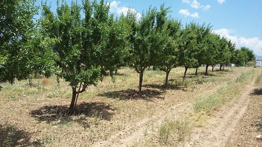Serinhisar Cumhuriyet Köyü Resimleri 1