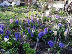 Serinhisar Yenice Köyü Resimleri 2