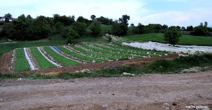 Tavas Avdan Köyü Resimleri 5