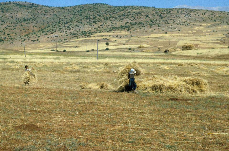 Adana Tufanbeyli Karsavuran Köyü Resimleri 12