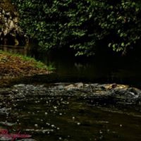 Lice Abalı Köyü Resimleri 7