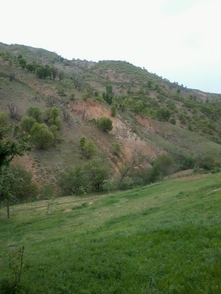 Lice Akçabudak Köyü Resimleri 1