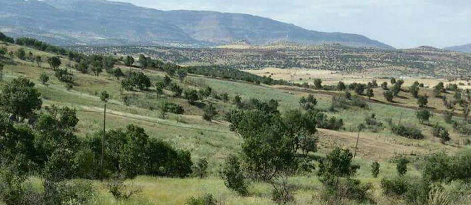 Lice Arıklı Köyü Resimleri 2