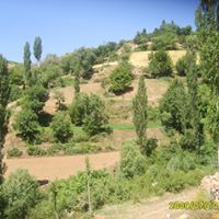 Lice Baharlar Köyü Resimleri 4