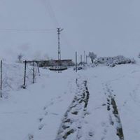 Lice Budak Köyü Resimleri 3