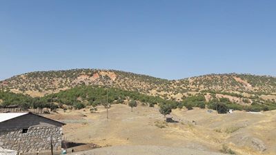 Lice Çağdaş Köyü Resimleri 2