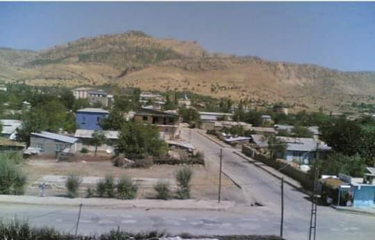 Lice Çarşı Köyü Resimleri 3