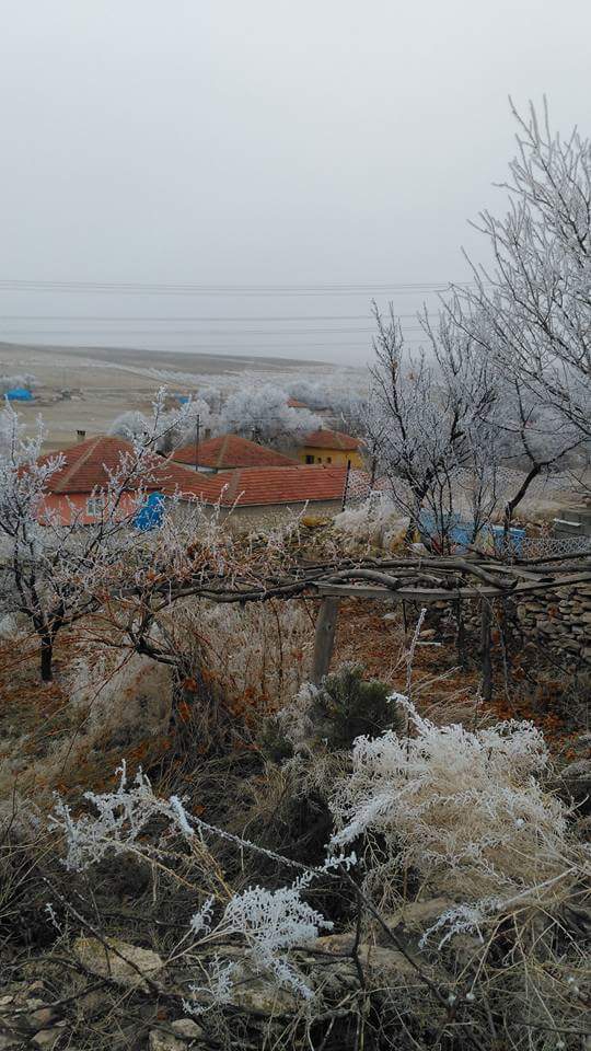 Kozaklı Belekli  Köyü Resimleri 3