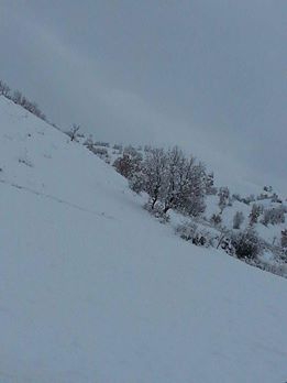 Lice Dallıca Köyü Resimleri 1