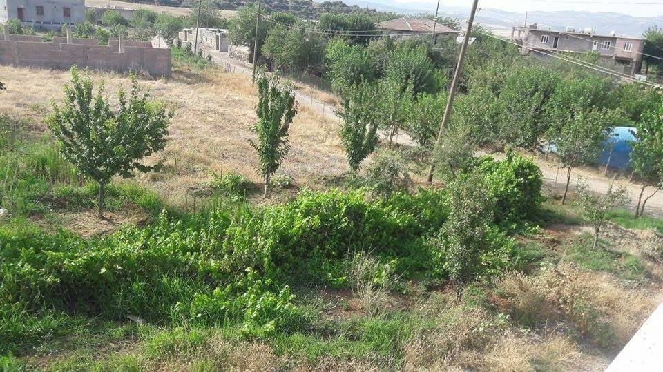 Lice Dallıca Köyü Resimleri 6