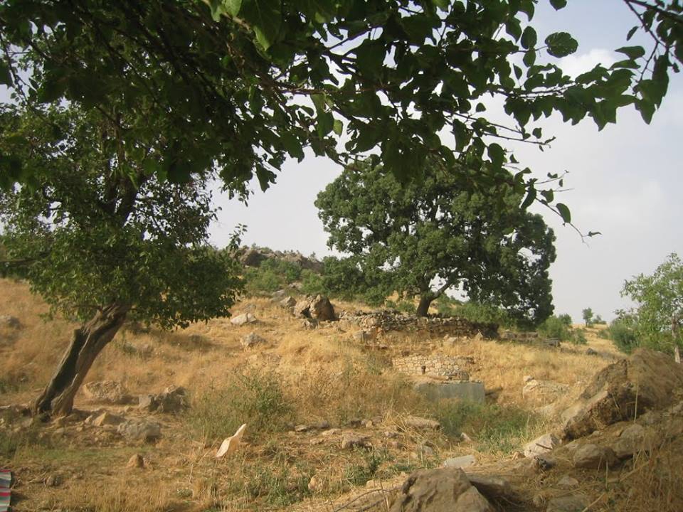 Lice Damar Köyü Resimleri 2