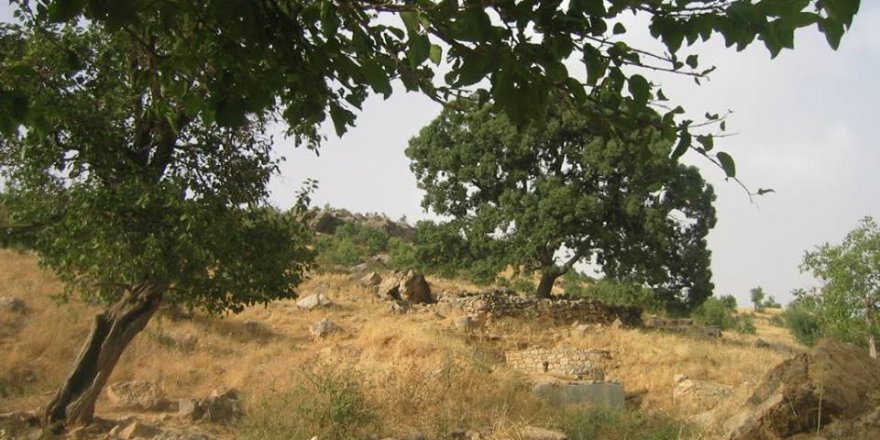 Lice Damar Köyü Resimleri