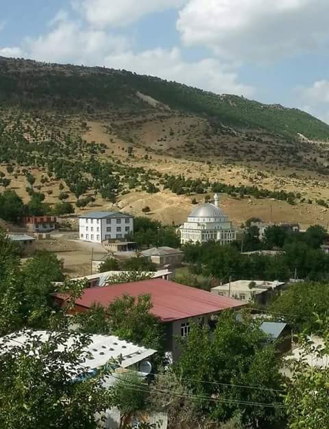 Lice Daralan Köyü Resimleri 3